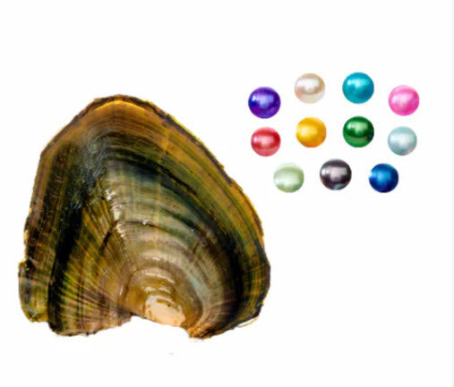 Round Pearls Qty 5